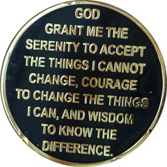 31 Year AA Medallion Elegant Black Gold Silver Sobriety Chip XXXI Recovery