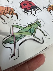 Vintage 90s Magnets Insects Bugs Sheet Fridge Magnets
