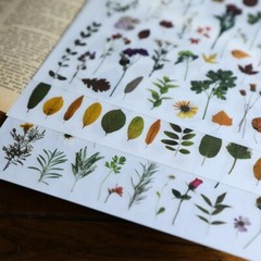 Rub-on stickers | 3 sheets watercolor green leaf botanical flower floral leaves