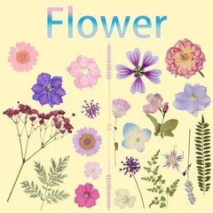 50pcs Dried Pressed Flowers Kit Real Natural Flowers for Resin Jewelry DIY Craft