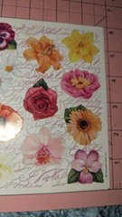 Vintage Hallmark Stickers Spring Flowers Daffodil Orchid Poppy Viola 1 Sheet