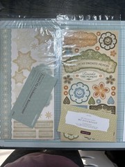 Close To My Heart My Stickease Florentine Frosted Asst 6×12 Adhesive Stickers