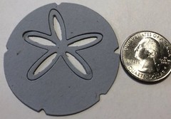 LG. SAND DOLLAR Die-Cuts(6pc)Beach •Shells•Ocean•Star•Sea•Shore•Sand Creatures