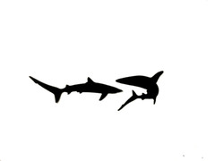 ORCA, DOLPHINS, SHARKS, & KILLER WHALES SILHOUETTE DIE CUT/ CUTS (ALL DIFFERENT)