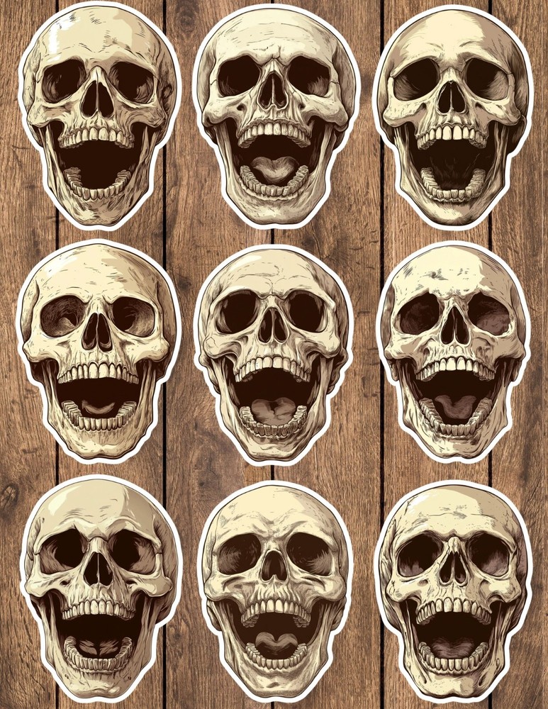 Laughing Skull Die Cut Vinyl Stickers Set Scrapbooking Laptop Waterbottle