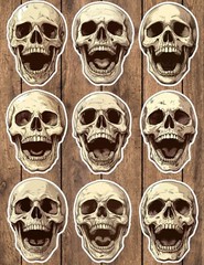 Laughing Skull Die Cut Vinyl Stickers Set Scrapbooking Laptop Waterbottle