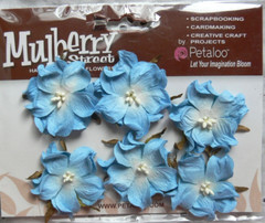 WILD ROSE – 6 Paper Flowers BLUE – 3-4cm across Penny Lane Petaloo I
