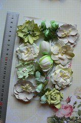 PISTACHIO GREEN & CREAM 9 Styles = 16 PAPER Flowers 15-55mm across MH ConC