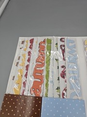 3 Birds Design Studios Papertrails 80 Die Cut Cardstock Borders WFolder Seasons