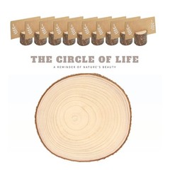 10 PCS 8-9 Inch Large Wood Slices for Centerpieces, with Table Number Holders…