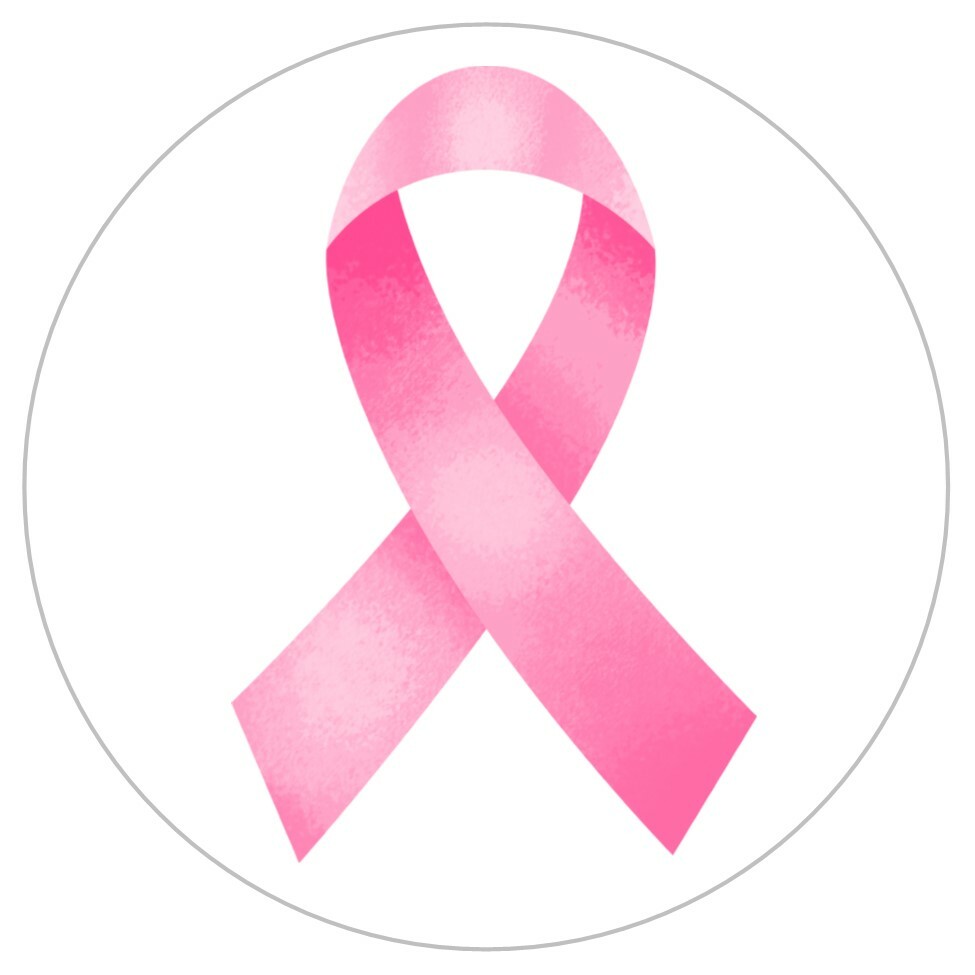 108 Awareness and Support Ribbon Labels – Planner Stickers -Breast Cancer-Autism