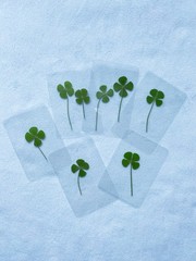 🍀Real Four Leaf Clover- Laminated Pressed Lucky Clover Good Luck Charm