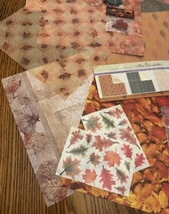 Mixed Lot of AUTUMN FALL Scrapbook Paper, Stickers And Ephemera