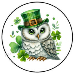 ST PATRICKS DAY OWL ENVELOPE SEALS LABELS STICKERS PARTY FAVORS