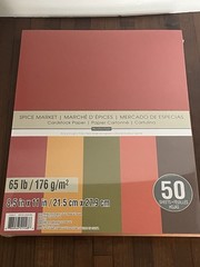 LOT of 5 Michaels Recollections Card Stock 50 Pc Packs 65 Lb Assorted Colors NIP