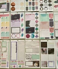 Lot Of 40 Sheets Happy Planner Complete & Incomplete! #3