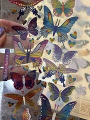Butterflies Scrapbook Stickers & Rub On Transfers Lot