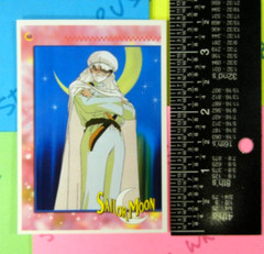 Sailor Moon Moonlight Knight Trading Card Sticker