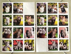Large Mixed Lot Hallmark / Jolee’s / StickyPix CATS & KITTENS Stickers, some 3D
