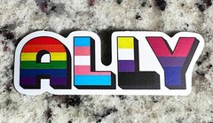 LOT of 500pc PRIDE MIX Stickers, LGTBQ Rainbow, Lesbian,Trans, Non binary
