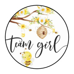 TEAM BOY TEAM GIRL BABY HONEY BEE GENDER REVEAL PARTY STICKERS 1.5″ ROUND (60)