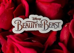 Sticker Pack | Beauty and The Beast | Belle | Clear