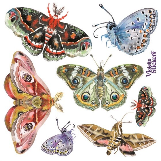 VIOLETTE STICKER – NIGHT MOTHS – 4″ x 4″ (10cm x 10cm)