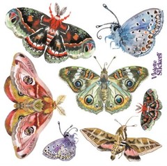 VIOLETTE STICKER – NIGHT MOTHS – 4″ x 4″ (10cm x 10cm)