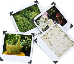 12 Sheets 288 Count Self-Adhesive Photo Corners Stickers