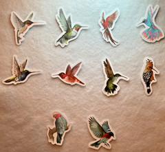 PRETTY BIRDS VINYL STICKERS diy for Laptops, Planners, Guitar, Car, mugs, SCUBA,