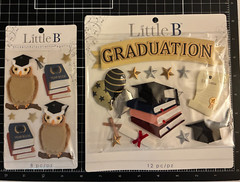 Little B Dimensional Stickers Large GRADUATION & Medium GRADUATION OWL Lot of 2