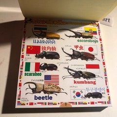 Beetle and Stag Beetle Japanese Stickers book 275 Stickers Shogakkan Neo