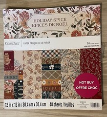 SCRAPBOOKING Scrapbook Supplies/Stickers/48 Pages of 12X12 Acid Free Paper