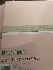2 Packs of Michaels Recollections Card Stock 50 Pc Per Pack PINK 65 lb Cardstock