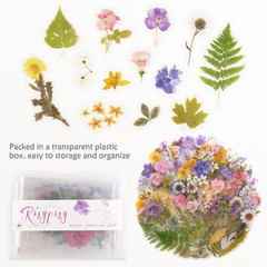 160Pcs Pre-Cut Scrapbooks Natural Stickers, Floral and Plant Sticker for DIY Cra