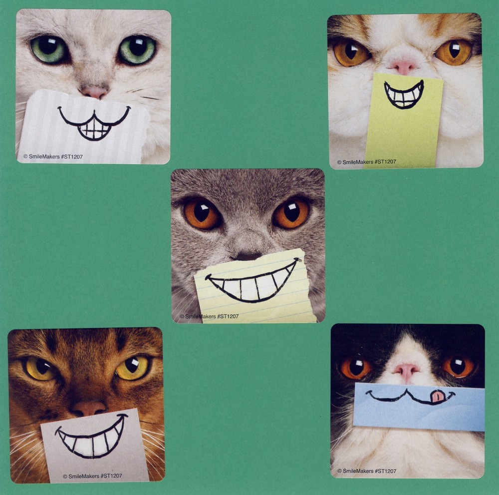 10 Cat Smiles – Large Stickers – Party Favor – Rewards – Kittens