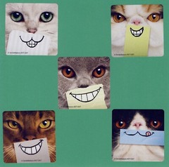 10 Cat Smiles – Large Stickers – Party Favor – Rewards – Kittens