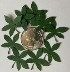 GREEN DARK PALM FROND Die-cut Embellishment(10pc)Jolee’s•Flower•Garden•Stems•