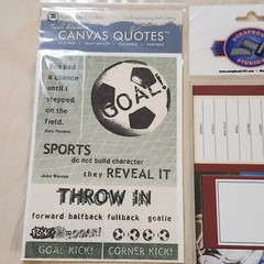 NEW Lot SOCCER Stickers Transfer Titles Shaker Box Photo Player Card -A