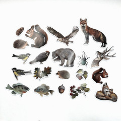Forest Animal Stickers Nature Bear Squirrel Fox Scrapbooking *SEE DESCRIPTION*
