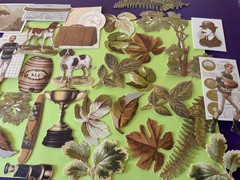 Anna Griffin Jack Die Cuts 30 Pieces New 2026