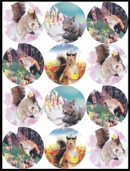 Stickers – Squirrel – Birthday CL060
