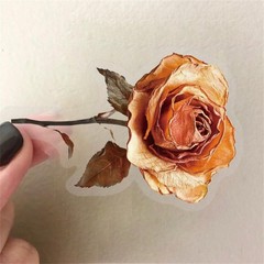 50PCS Dried Roses Stickers Aesthetic PET Transparent Stickers Vintage Gothic Flo