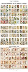 300 Pcs Vintage Washi Stickers Botanical Flower Butterfly Junk Journal Scrapbook