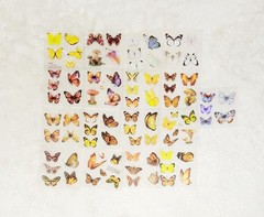 100 Sheet Colorful Butterfly Sticker Set Beautiful A Must Have For Collectors