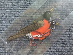 Lot of Vintage Paper Bird Small Cutouts for Junk Journaling Scrapbooking Crafts