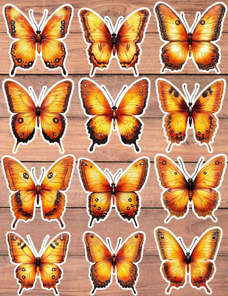 Orange and Black Butterfly Vinyl Stickers Scrapbooking Laptop Waterbottle