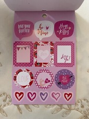 RECOLLECTIONS VALENTINE’S DAY STICKERS 216 PC STICKERS 12 SHEETS ROMANCE