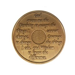45 Year AA Medallion Traditional Bronze Raised Center Sobriety Token Chip