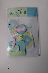 Daisy Hill Multi – Color Baby Dimensional Pocket Embellish Cards Boxes Scrapbook